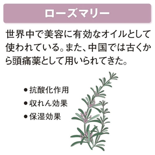 SHISEIDO Super Mild Hair Conditioner 600ml Hair Care oceanbuy.ca markham toronto free ship USA asian korean skincare